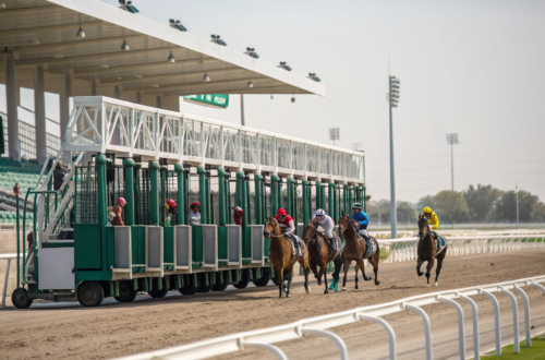 Non-Runner Selection Handling in Cancelled Events in India